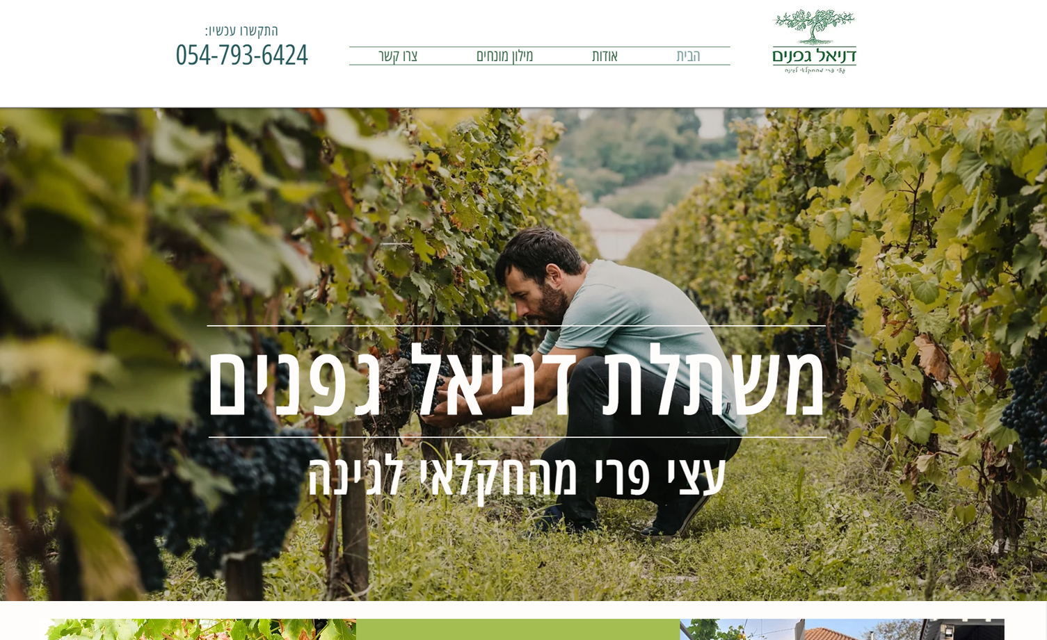 אתר אינטרנט 13